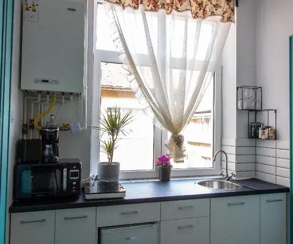 公寓 Balcescu 18 *