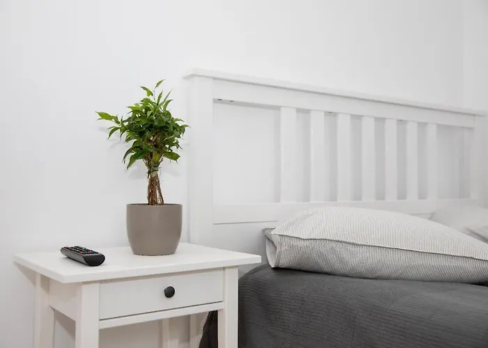 Balcescu 18 公寓 布拉索夫