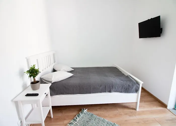 Balcescu 18 * 布拉索夫